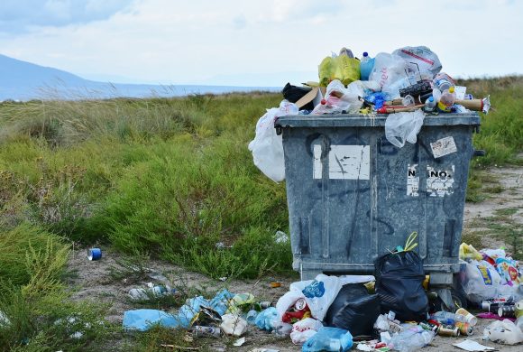 Stop aux déchets et aux dépôts sauvages ! Stop aux déchets et aux dépôts sauvages !