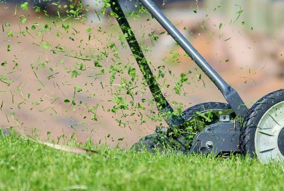 Collecte des déchets végétaux 2020 Collecte des déchets végétaux 2020