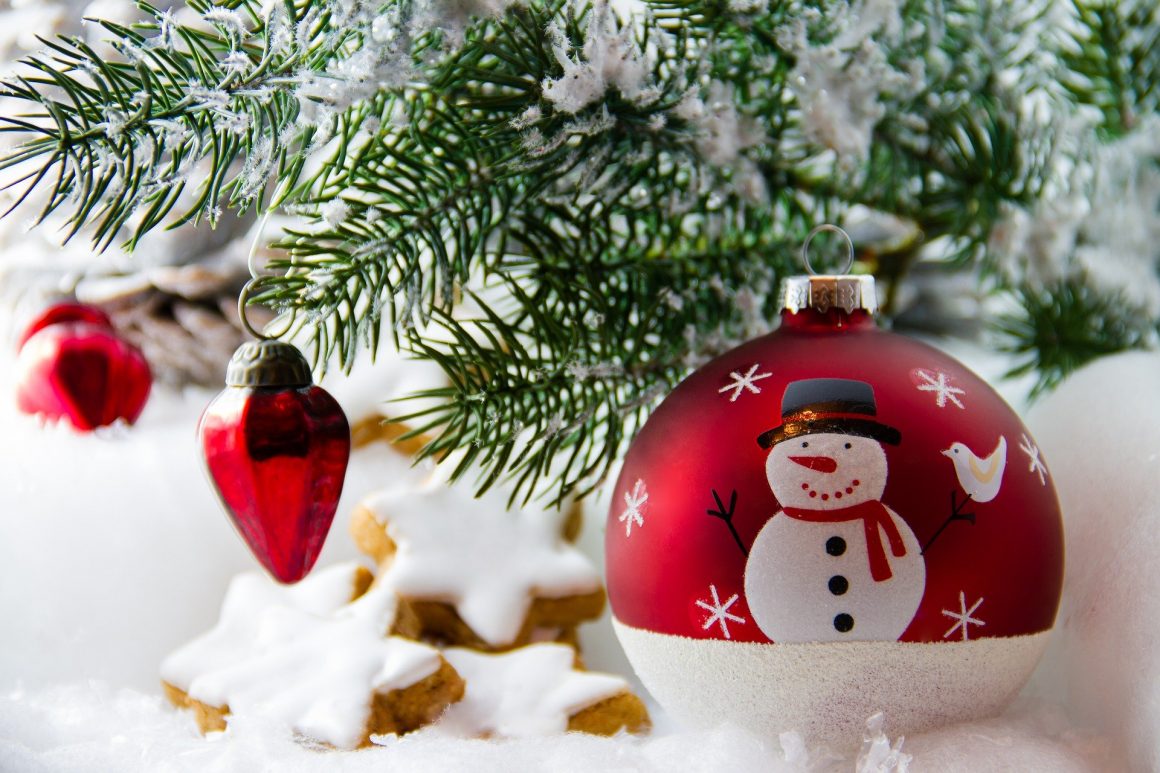 Vente de sapins de Noël