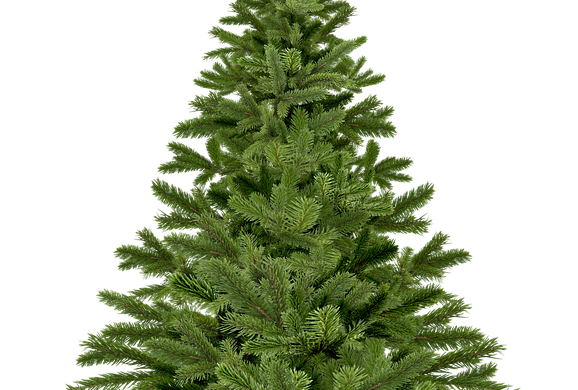 Collecte des sapins Collecte des sapins
