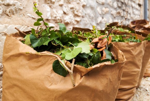 DISTRIBUTION DE SACS A DECHETS VERTS DISTRIBUTION DE SACS A DECHETS VERTS
