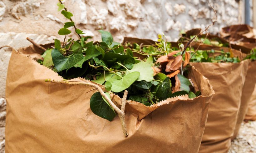 Report de la distribution des sacs à déchets végétaux/Covid-19