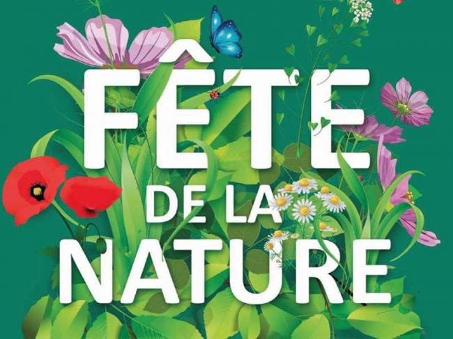 organisée par l’association Hou ? Dan la Nature