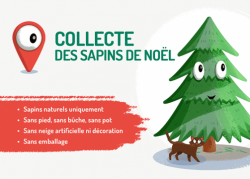 La municipalité vous propose de collecter vos sapins. Venez les déposer au local communal