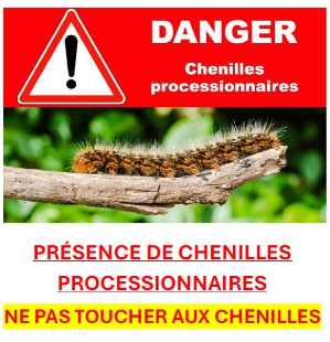 CHENILLES SIGNALEES SUR LE TERRAIN COMMUNAL CHENILLES SIGNALEES SUR LE TERRAIN COMMUNAL